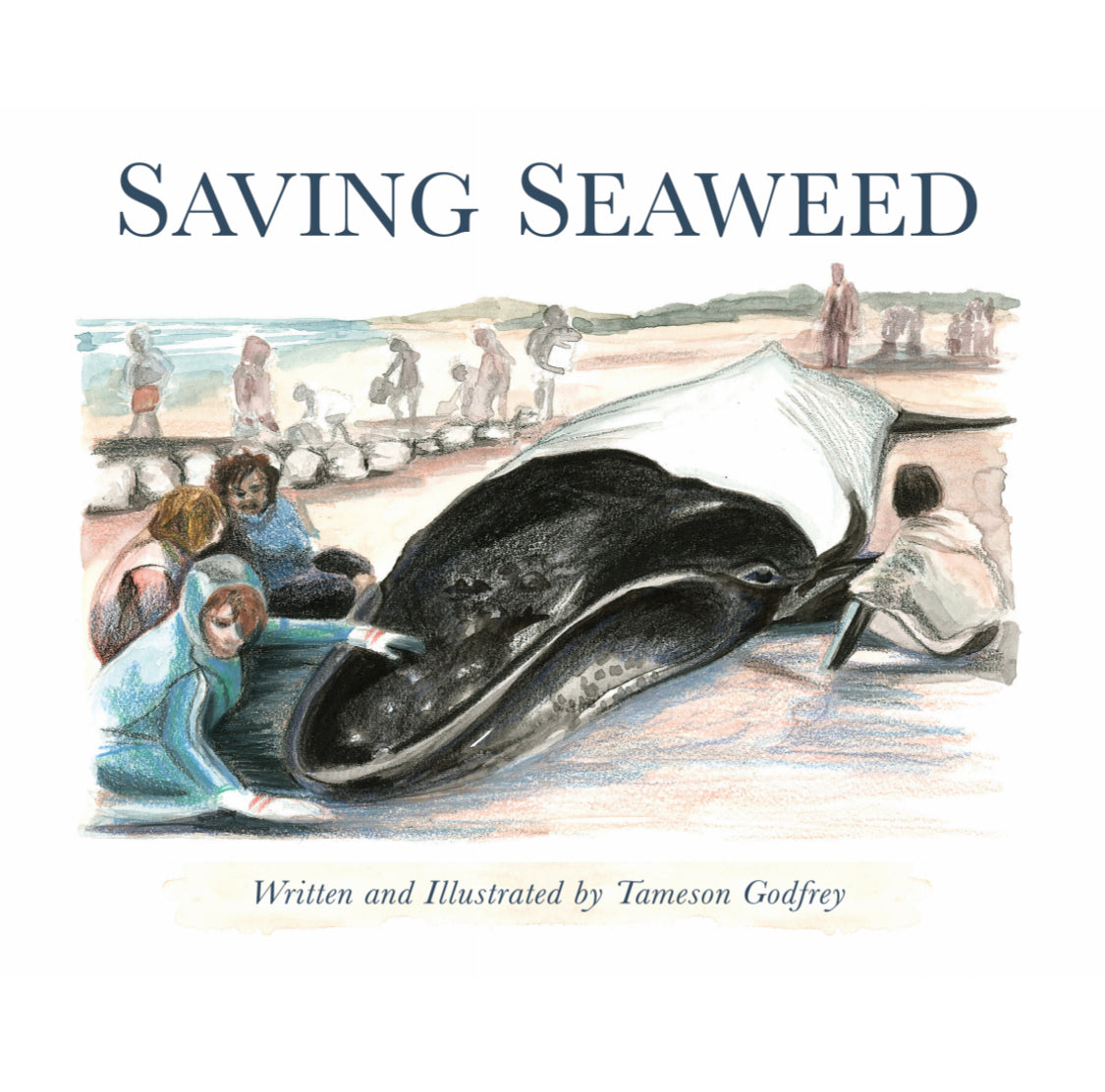 Saving Seaweed